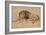 Lion au repos-Rembrandt van Rijn-Framed Giclee Print