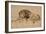 Lion au repos-Rembrandt van Rijn-Framed Giclee Print