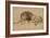 Lion au repos-Rembrandt van Rijn-Framed Giclee Print