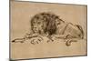 Lion au repos-Rembrandt van Rijn-Mounted Giclee Print