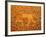 Lion, Babylon, Iraq, Middle East-Nico Tondini-Framed Photographic Print