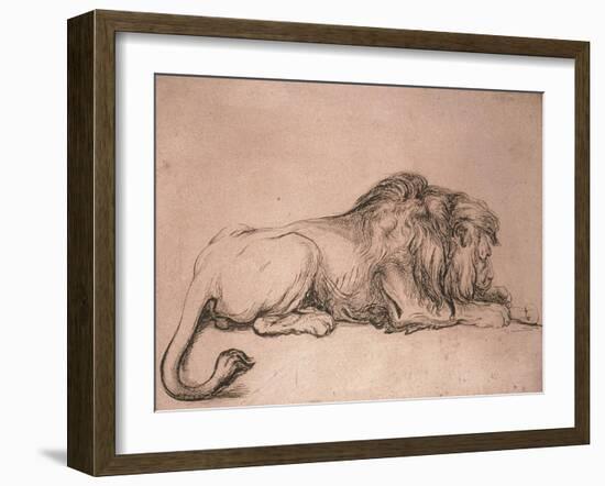 Lion couché rongeant un os-Rembrandt van Rijn-Framed Giclee Print