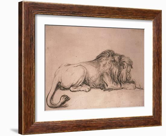 Lion couché rongeant un os-Rembrandt van Rijn-Framed Giclee Print