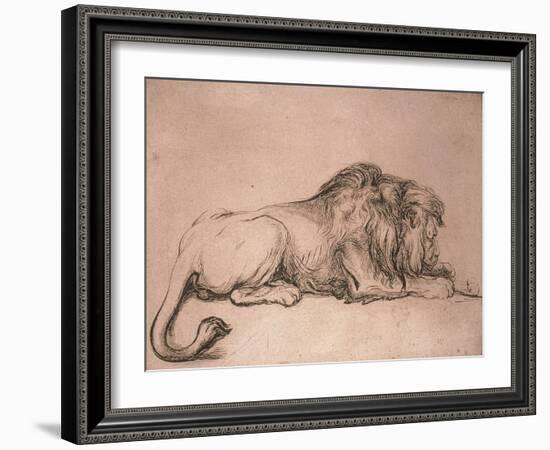 Lion couché rongeant un os-Rembrandt van Rijn-Framed Giclee Print