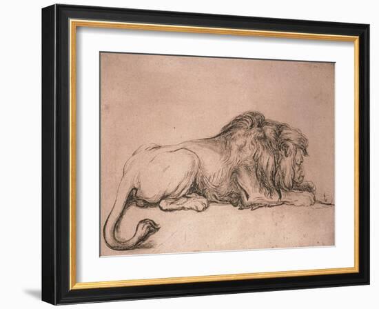 Lion couché rongeant un os-Rembrandt van Rijn-Framed Giclee Print