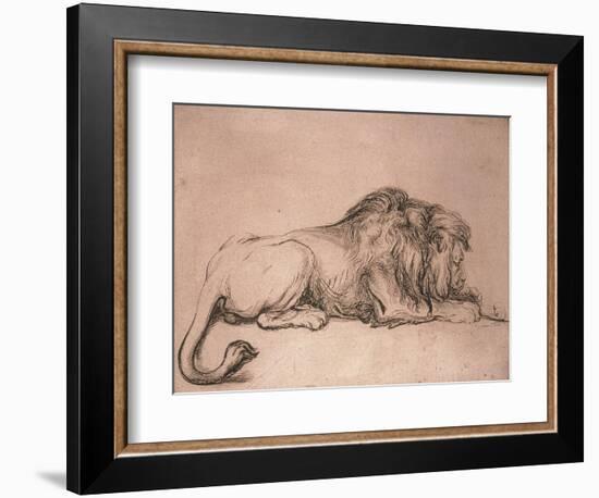 Lion couché rongeant un os-Rembrandt van Rijn-Framed Giclee Print