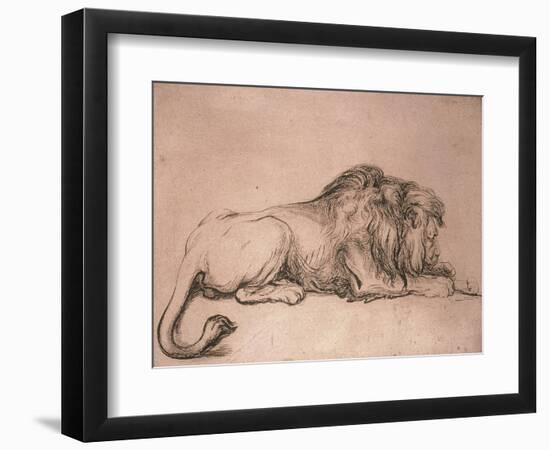 Lion couché rongeant un os-Rembrandt van Rijn-Framed Giclee Print