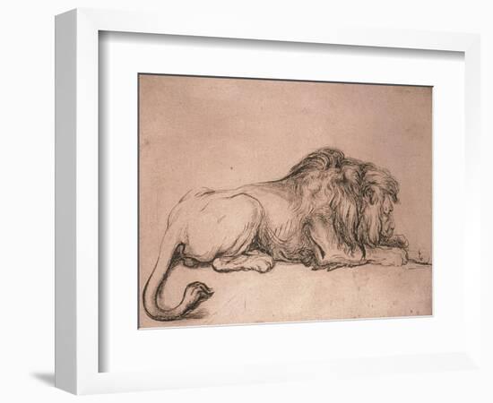 Lion couché rongeant un os-Rembrandt van Rijn-Framed Giclee Print