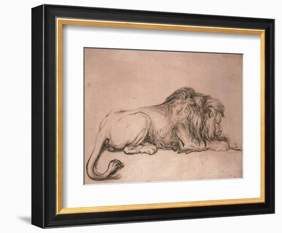 Lion couché rongeant un os-Rembrandt van Rijn-Framed Giclee Print