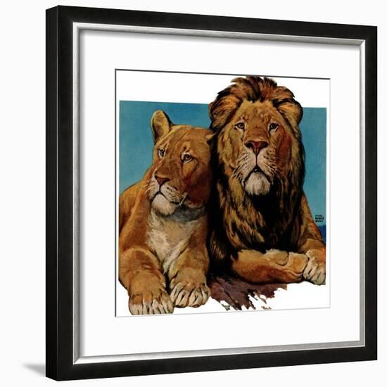 "Lion Couple,"March 19, 1932-Lynn Bogue Hunt-Framed Giclee Print