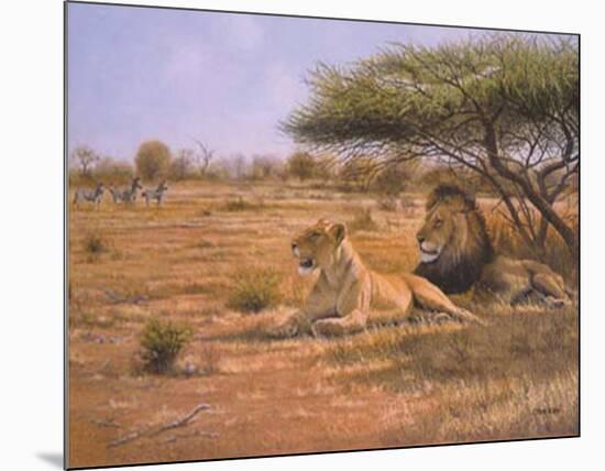 Lion Couple-Clive Kay-Mounted Art Print