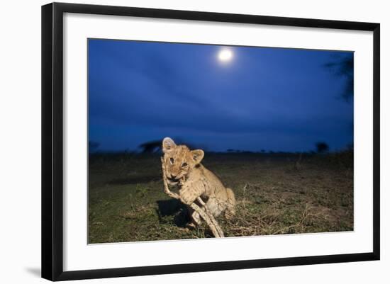 Photographic Print, , large