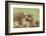 Lion Cub Attempts to Bite the Head of a Lioness, Ngorongoro, Tanzania-James Heupel-Framed Photographic Print