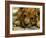 Lion Cub, Budapest, Hungary-Bela Szandelszky-Framed Photographic Print