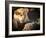 Lion cub, Masai Mara, Kenya, East Africa, Africa-Karen Deakin-Framed Photographic Print