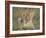 Lion Cub, Panthera Leo, Approximately Two to Three Months Old, Kruger National Park, South Africa-Ann & Steve Toon-Framed Photographic Print