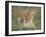 Lion Cub, Panthera Leo, Approximately Two to Three Months Old, Kruger National Park, South Africa-Ann & Steve Toon-Framed Photographic Print