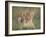 Lion Cub, Panthera Leo, Approximately Two to Three Months Old, Kruger National Park, South Africa-Ann & Steve Toon-Framed Photographic Print
