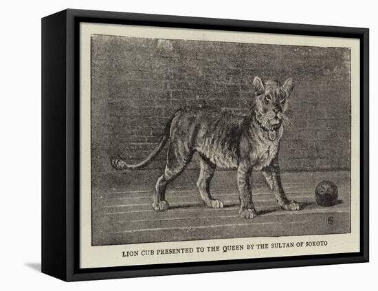 Lion Cub Presnted to the Queen by the Sultan of Sokoto-null-Framed Premier Image Canvas