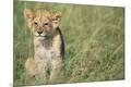 Premium Photographic Print