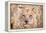 Lion Cub-Howard Ruby-Framed Premier Image Canvas