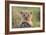 Lion Cub-null-Framed Photographic Print