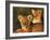 Lion Cubs Approximately 2-3 Months Old, Kruger National Park, South Africa, Africa-Ann & Steve Toon-Framed Photographic Print