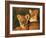 Lion Cubs Approximately 2-3 Months Old, Kruger National Park, South Africa, Africa-Ann & Steve Toon-Framed Photographic Print