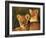 Lion Cubs Approximately 2-3 Months Old, Kruger National Park, South Africa, Africa-Ann & Steve Toon-Framed Photographic Print