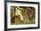 Lion Cubs in the Bush, Maasai Mara Wildlife Reserve, Kenya-Jagdeep Rajput-Framed Photographic Print