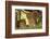 Lion Cubs in the Bush, Maasai Mara Wildlife Reserve, Kenya-Jagdeep Rajput-Framed Photographic Print