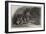 Lion Cubs in the Dublin Zoological Gardens-null-Framed Giclee Print