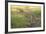 Lion Cubs, Masai Mara, Kenya-Sergio Pitamitz-Framed Photographic Print