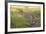 Lion Cubs, Masai Mara, Kenya-Sergio Pitamitz-Framed Photographic Print