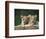 Lion Cubs, Panthera Leo, in Kruger National Park Mpumalanga, South Africa-Ann & Steve Toon-Framed Photographic Print