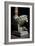 Lion Culmiferous, Pulpit, Wall, Church of St John Fuorcivitas, Pistoia, Tuscany, Italy,-null-Framed Giclee Print