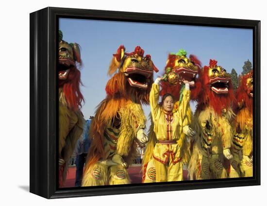 Lion dance performance celebrating Chinese New Year Beijing China - MR-Keren Su-Framed Premier Image Canvas