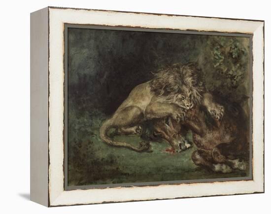 Lion Dévorant Un Cheval (Lion Devouring a Horse), C. 1844 (Watercolor, Bodycolor Oand Gum Arabic Wi-Ferdinand Victor Eugene Delacroix-Framed Premier Image Canvas