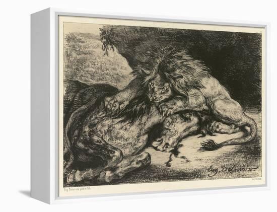 Lion Devouring a Horse, 1844 (Litho on Chine Collé on Paper)-Ferdinand Victor Eugene Delacroix-Framed Premier Image Canvas
