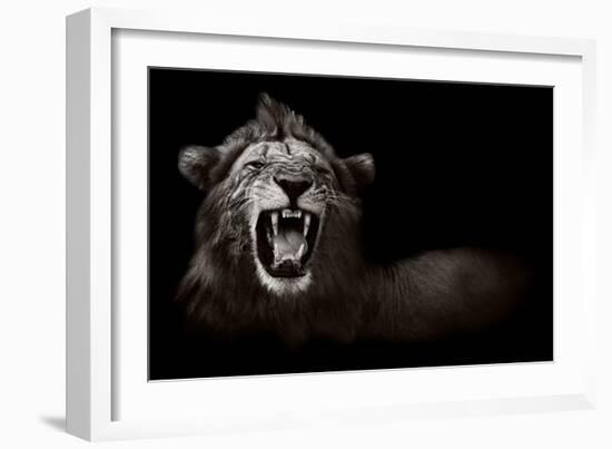 Lion Displaying Dangerous Teeth-Donvanstaden-Framed Art Print