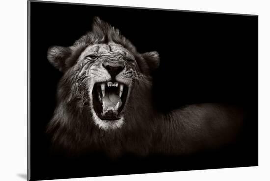 Lion Displaying Dangerous Teeth-Donvanstaden-Mounted Art Print