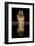 Lion Drinking at Night-Joan Gil Raga-Framed Photographic Print