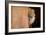 Lion Emerging-captive-Steve Gadomski-Framed Photographic Print