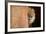 Lion Emerging-captive-Steve Gadomski-Framed Photographic Print