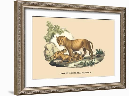 Lion et Lionne d'Afrique-E.f. Noel-Framed Art Print