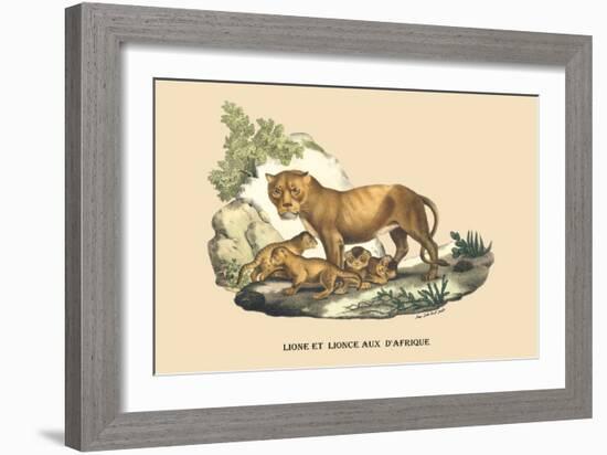 Lion et Lionne d'Afrique-E.f. Noel-Framed Art Print