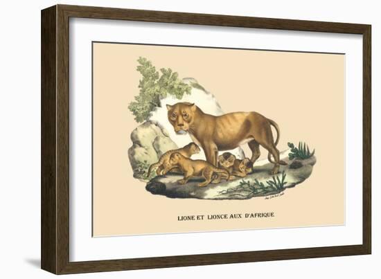 Lion et Lionne d'Afrique-E.f. Noel-Framed Art Print