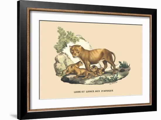 Lion et Lionne d'Afrique-E.f. Noel-Framed Art Print