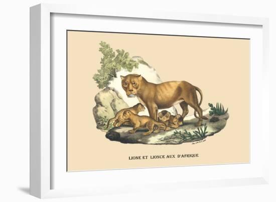 Lion et Lionne d'Afrique-E.f. Noel-Framed Art Print