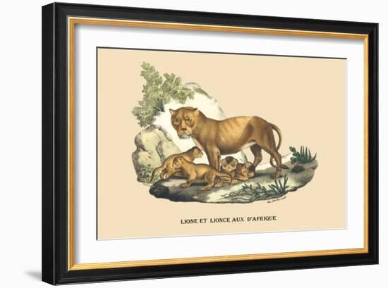 Lion et Lionne d'Afrique-E.f. Noel-Framed Art Print